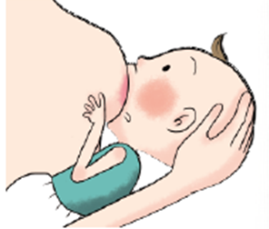 breastfeeding-handbook-7.png