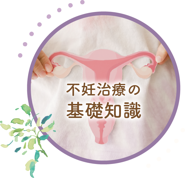 Uterus-img