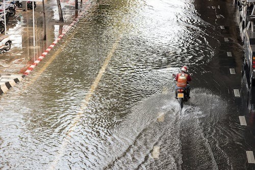 【タイ在住者必見】知っておきたいレプトスピラ症について