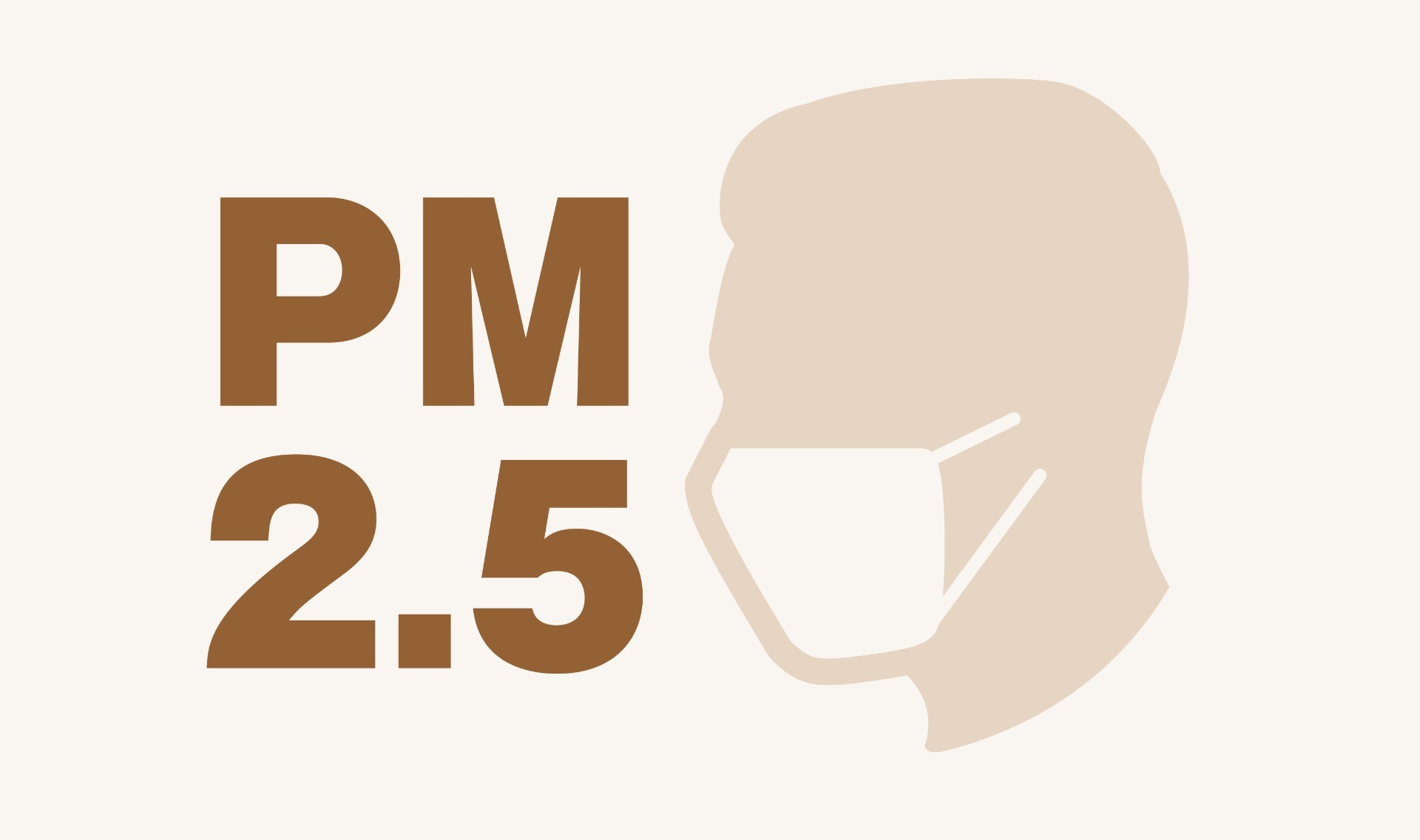 PM2.5編