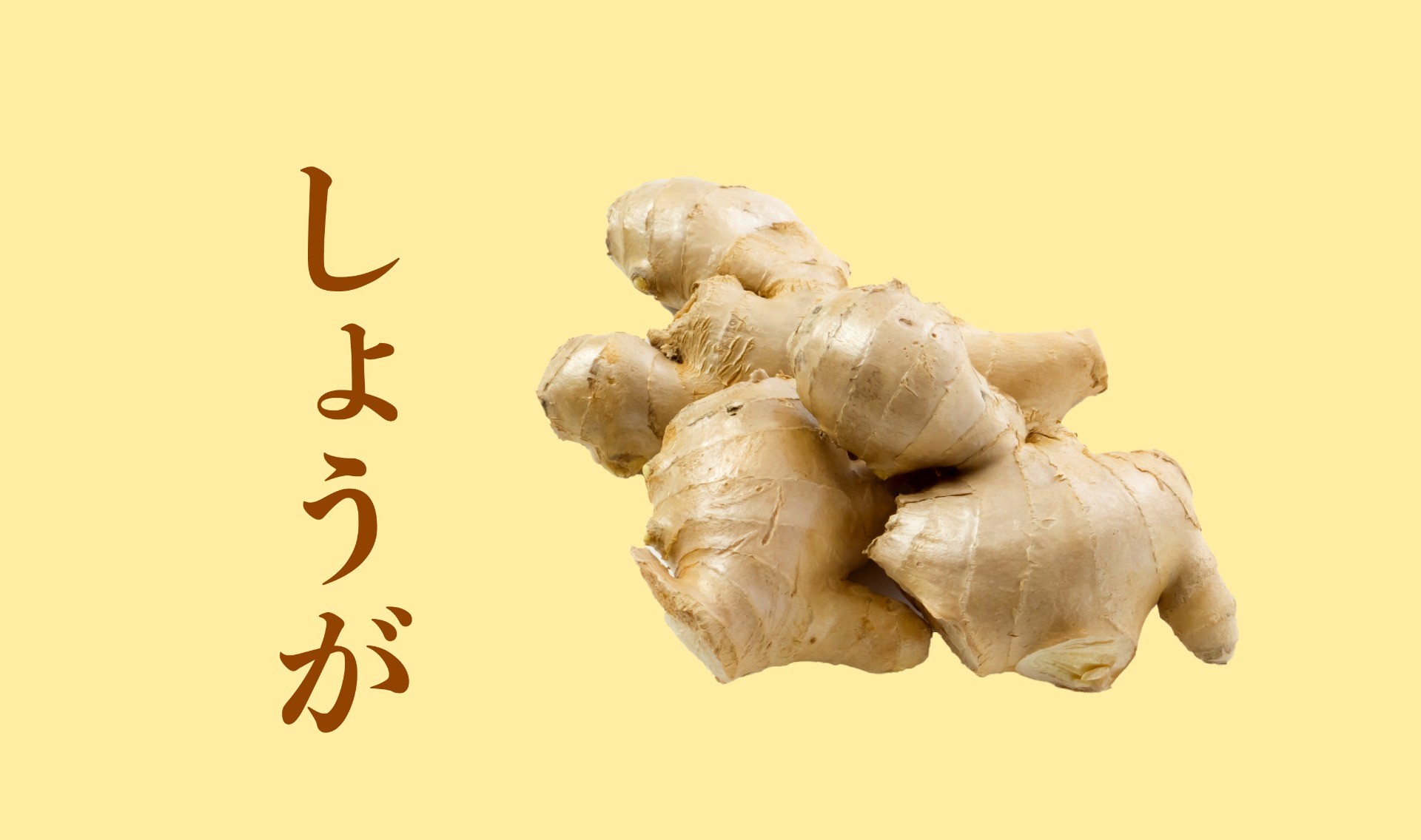 しょうがと暮らすタイの知恵