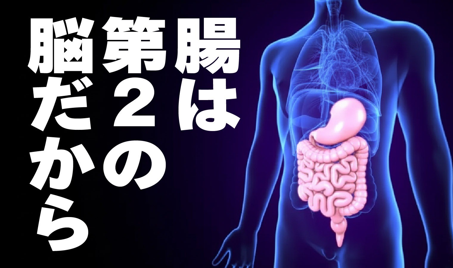 大腸カメラ