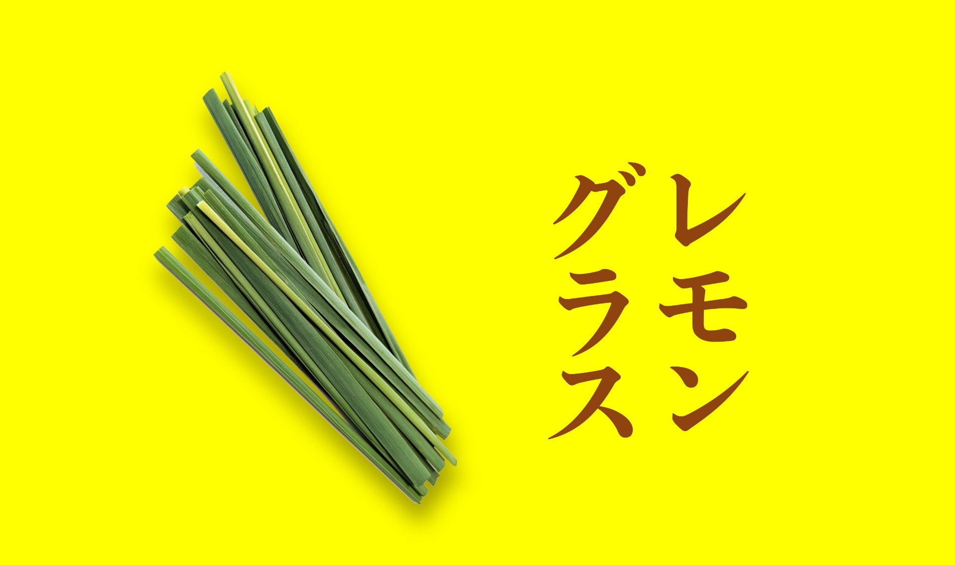 日常をほぐす、レモングラス