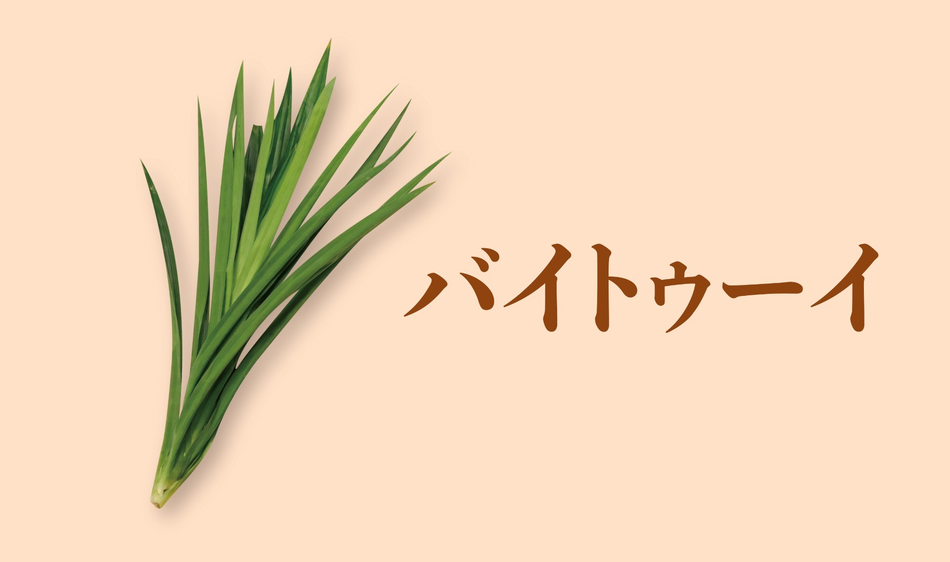 香りで包むバイトゥーイ
