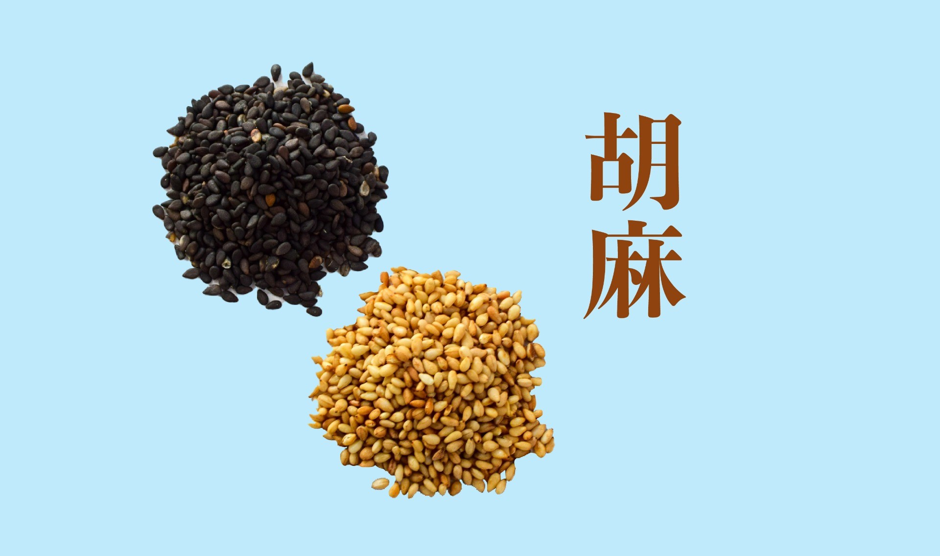 小さな胡麻の大きな力
